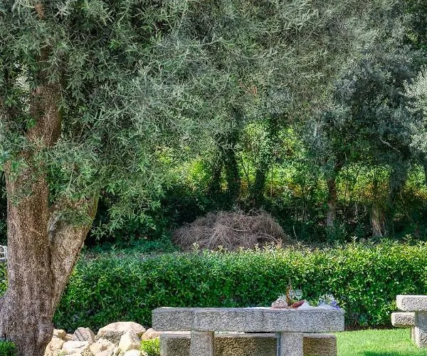 Quinta Da Mourinha * Arcos de Valdevez